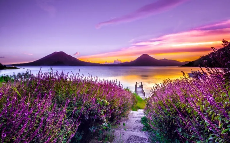 Landscape