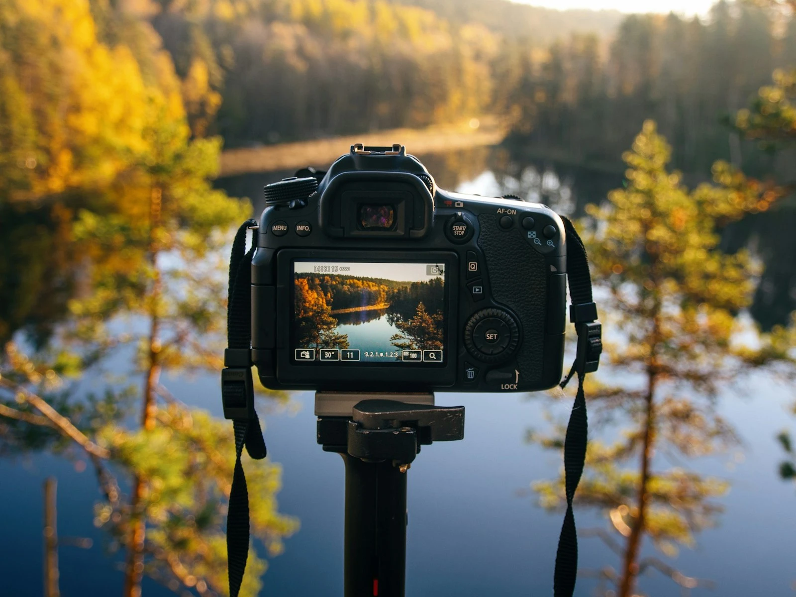 How to Read Your Camera's Light Meter