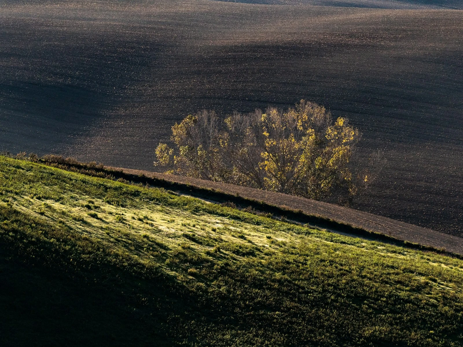 Photo Composition: Where Do You Want the Viewer to Look?