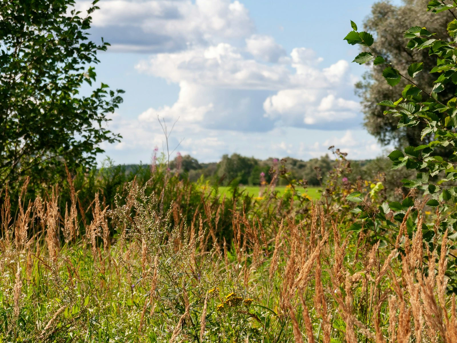 Foreground, Midground, Background: Building Layers