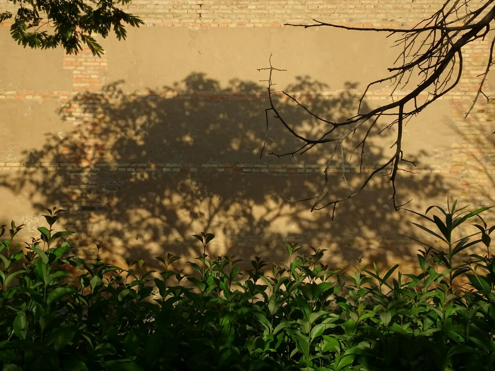 Why Your Photos Have Harsh Shadows (And What to Do)