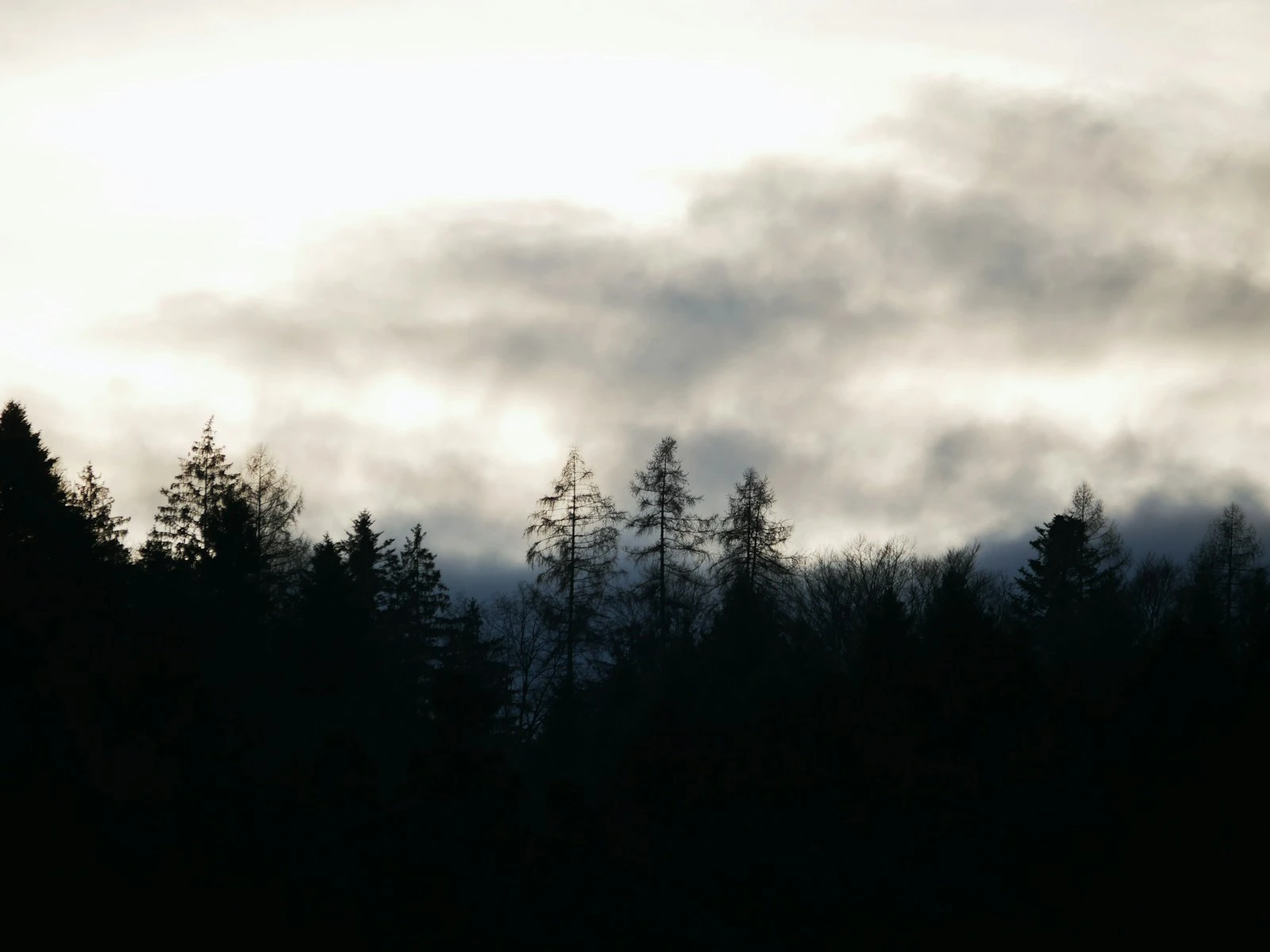 Why Cloudy Days Are Great for Photos