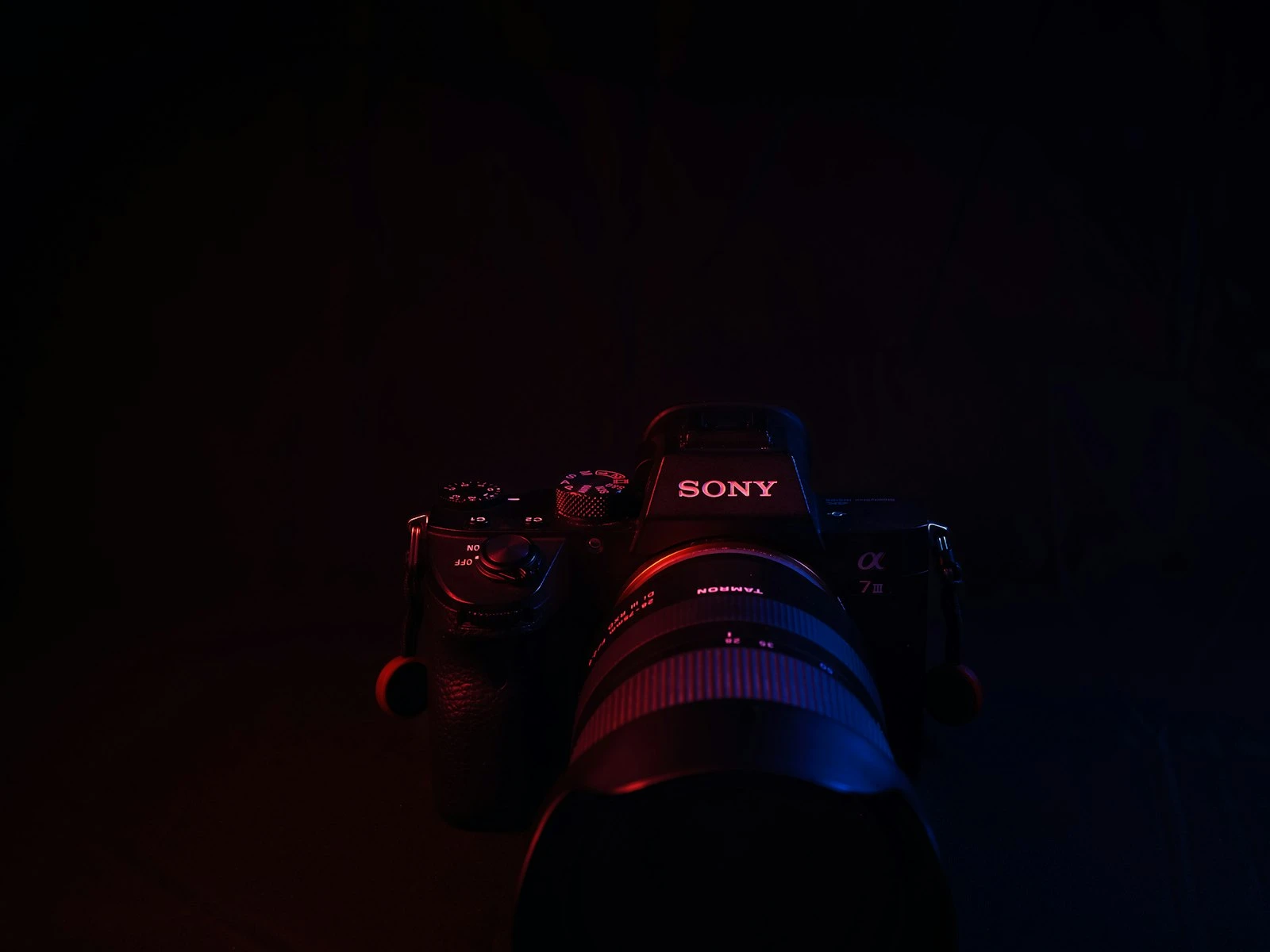 How to Focus in Low Light When Your Camera Struggles