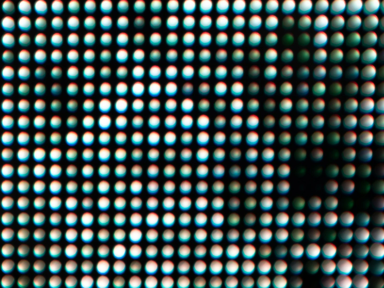 Why Your Subject Is Out of Focus